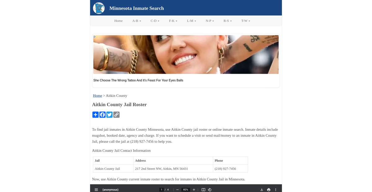 Preview of inmatesearchmn.org