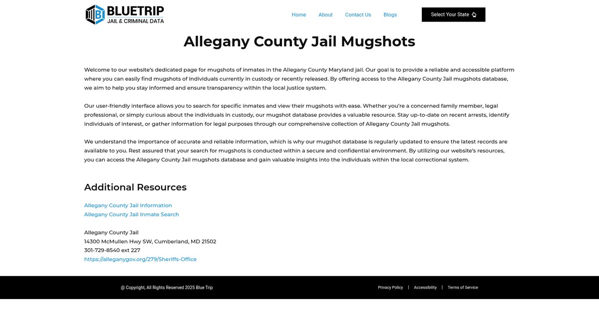 Preview of bluetrip.org
