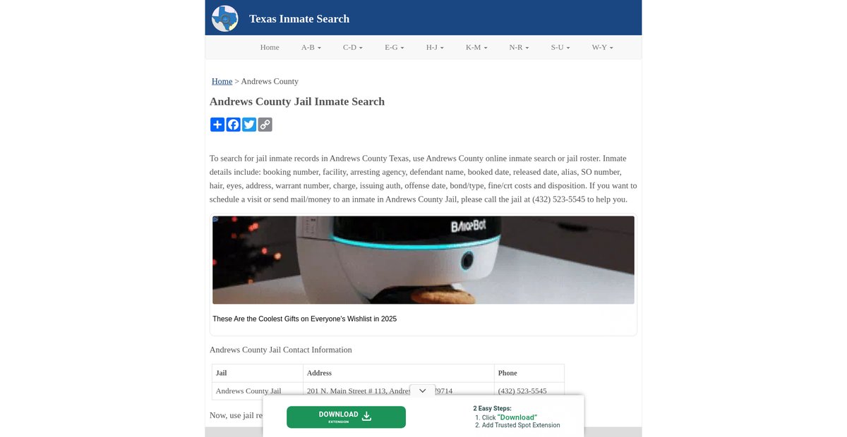 Preview of inmatesearchtx.org