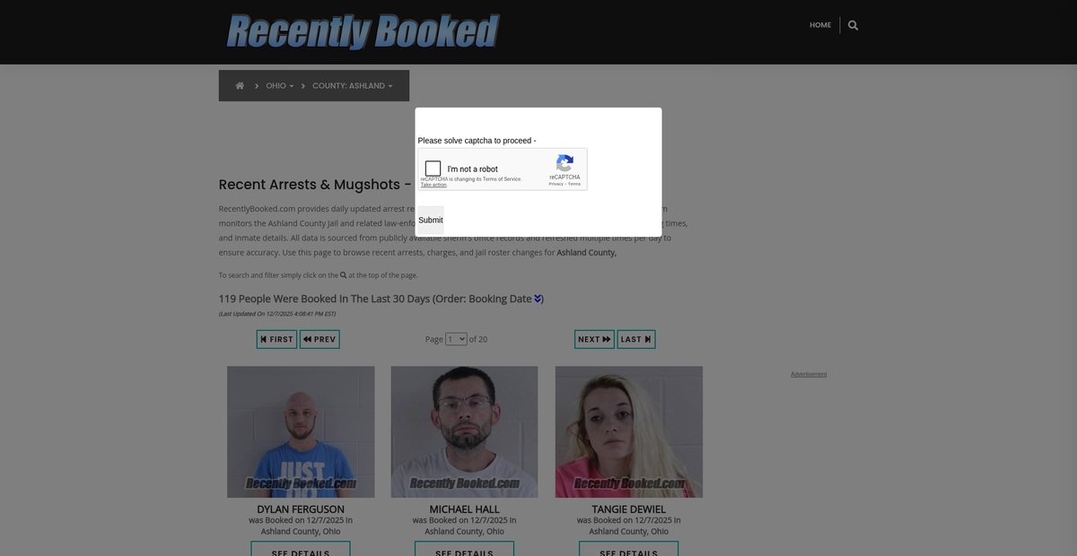 Preview of recentlybooked.com