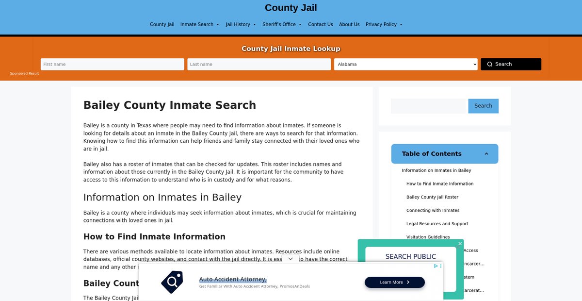 Preview of bailey-inmate-search.countyjail.org