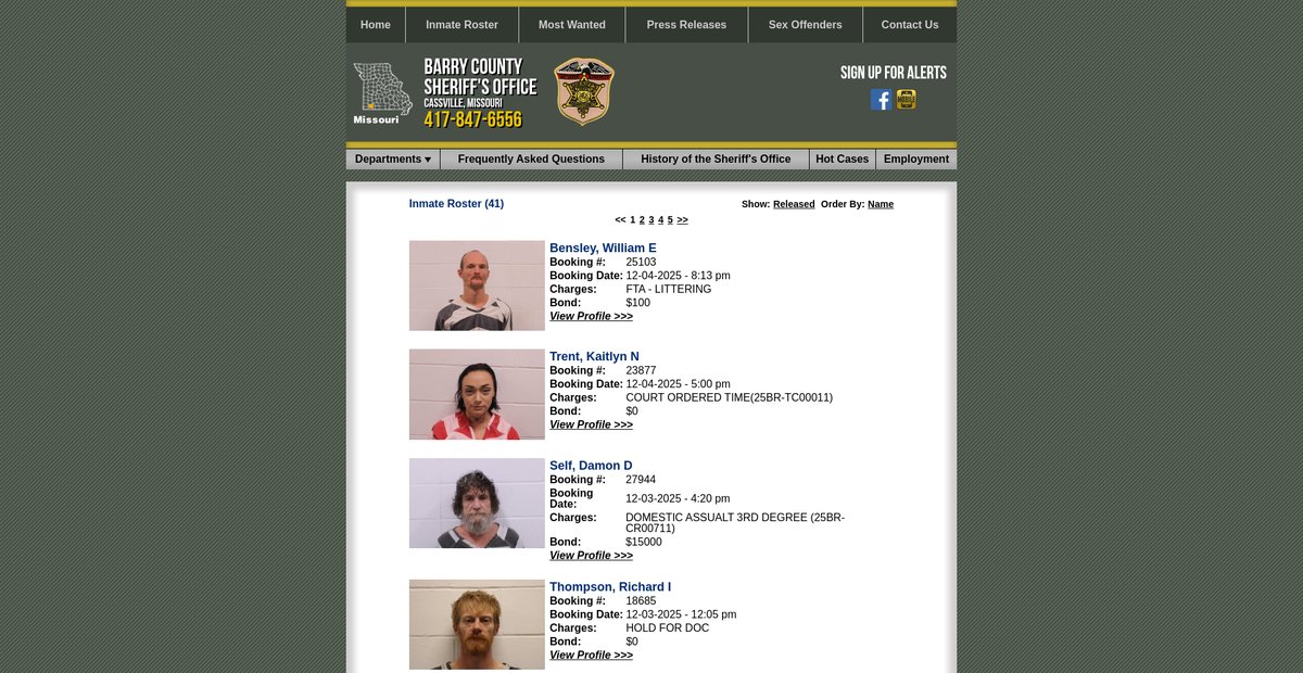 Preview of barrycountysheriff.com