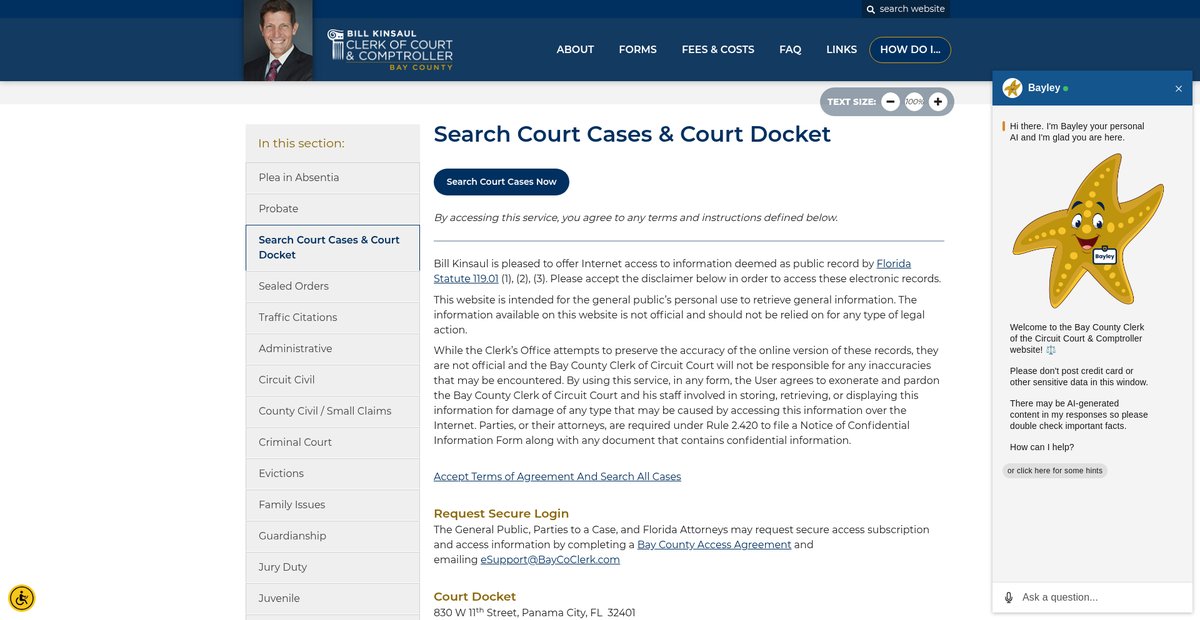 Preview of baycoclerk.com