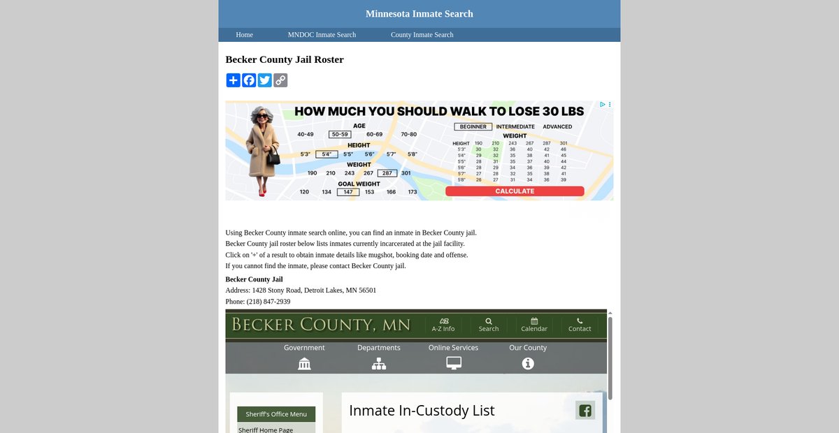 Preview of inmatesearchminnesota.org