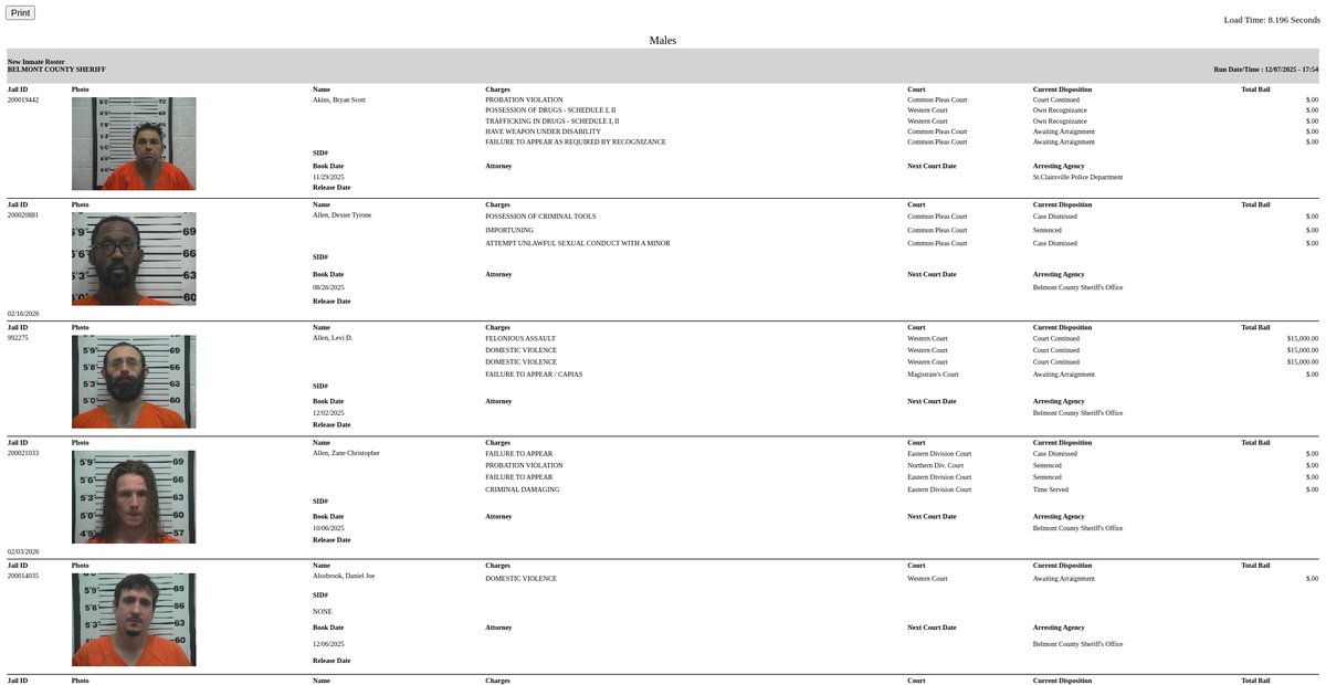 Preview of belmontsheriff.com