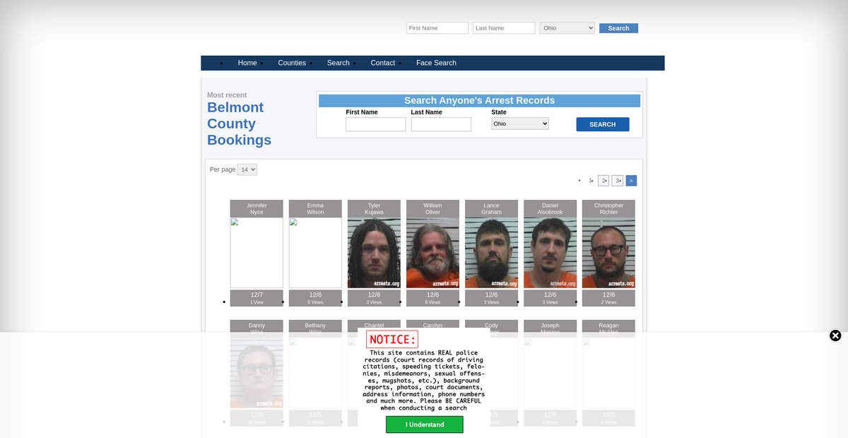 Preview of ohio.arrests.org