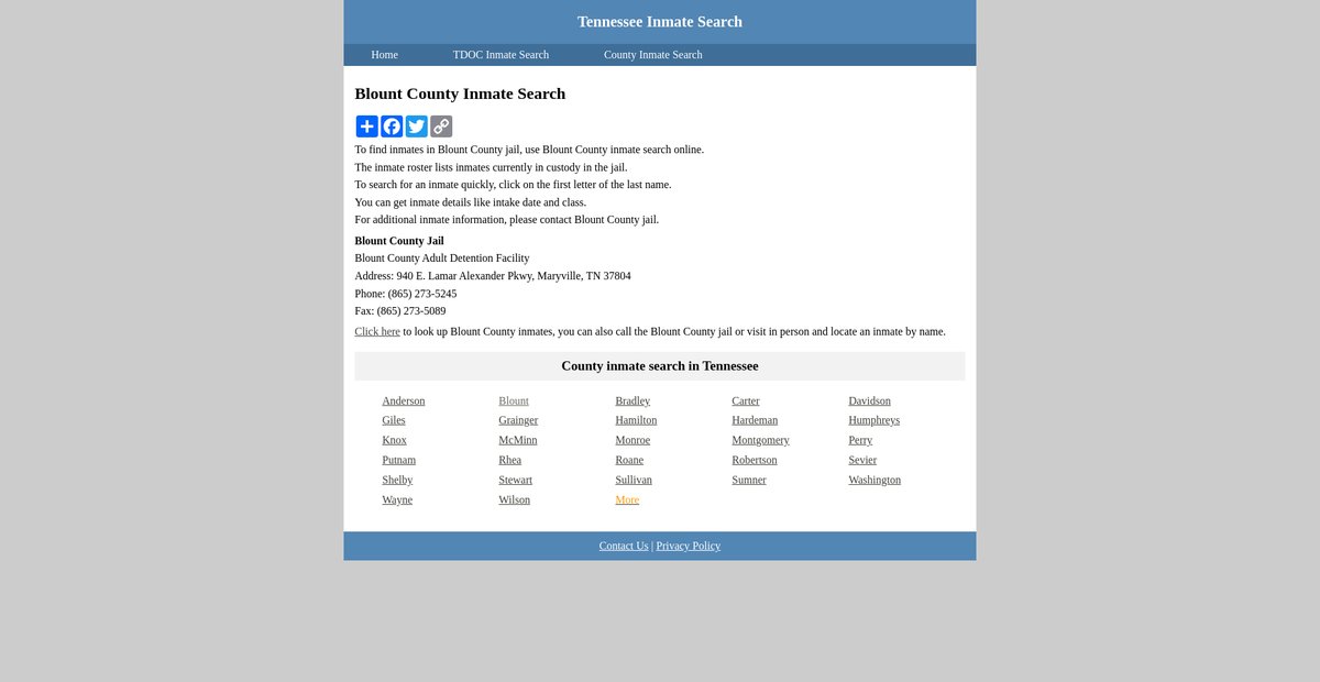 Preview of inmatesearchtennessee.org