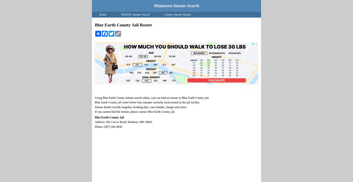 Preview of inmatesearchminnesota.org