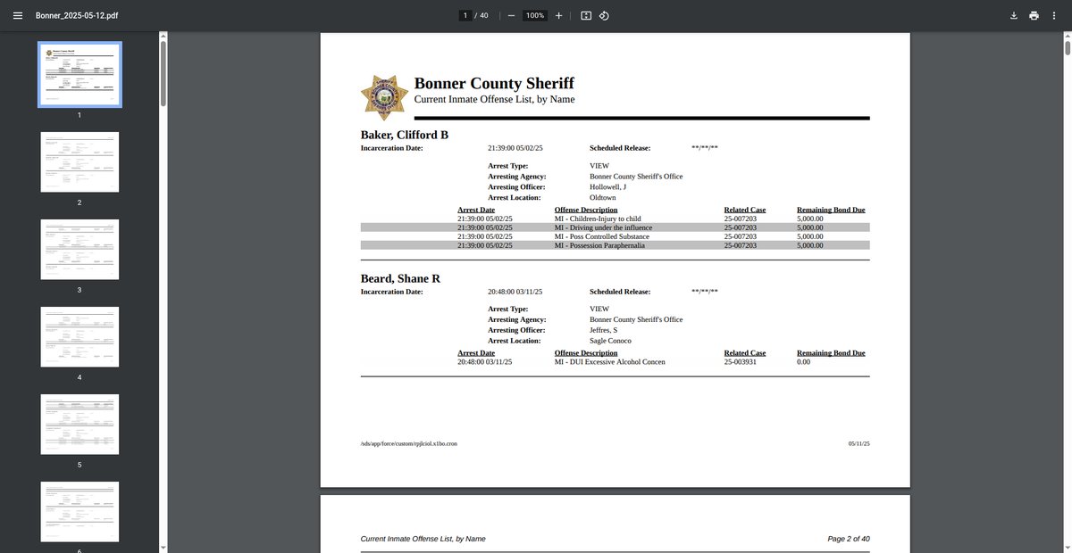 Preview of jailrosters.org