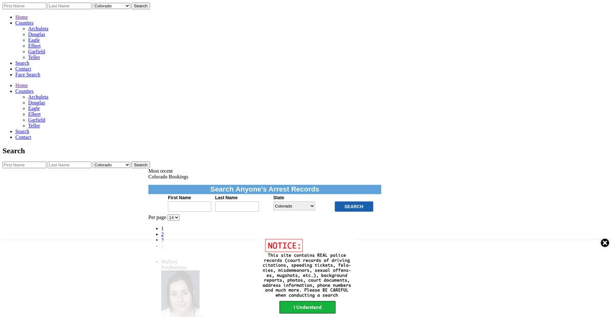 Preview of colorado.arrests.org