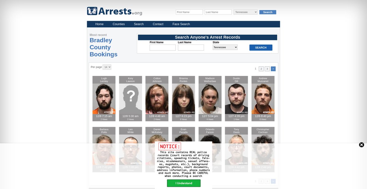 Preview of tennessee.arrests.org