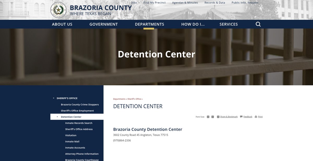 Preview of brazoriacountytx.gov