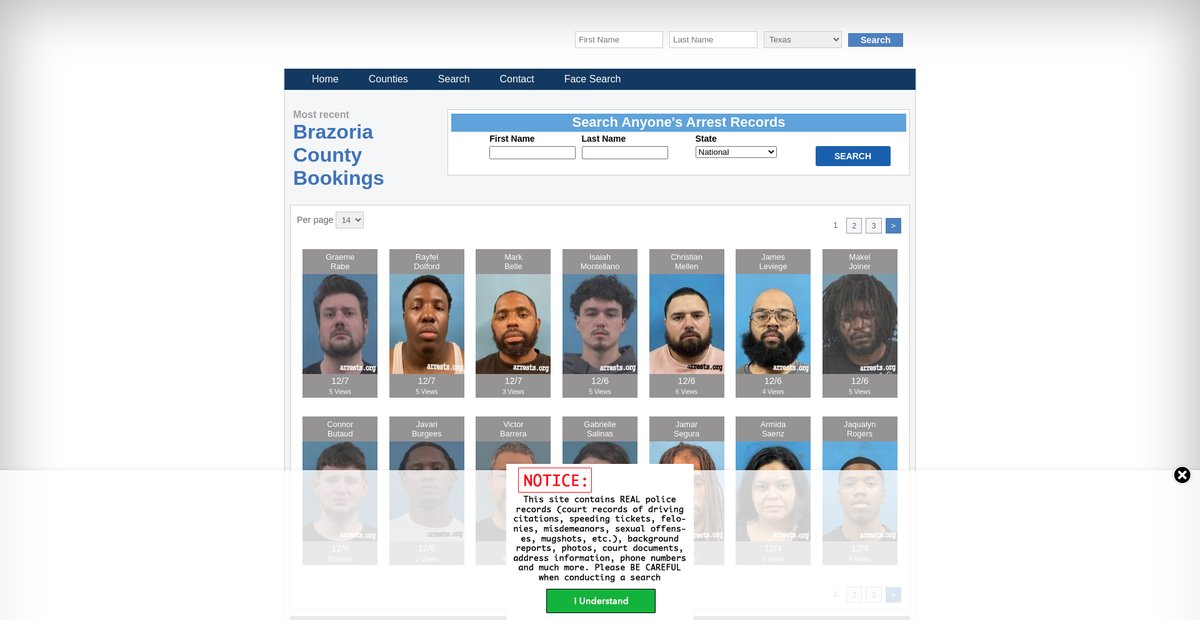 Preview of texas.arrests.org