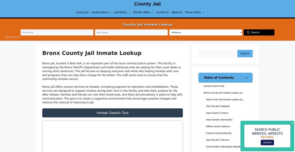 Preview of bronx.countyjail.org