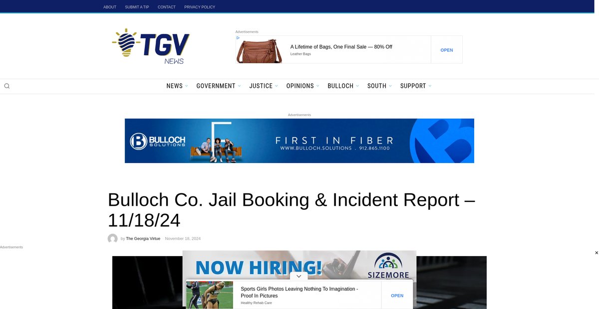 Preview of thegeorgiavirtue.com