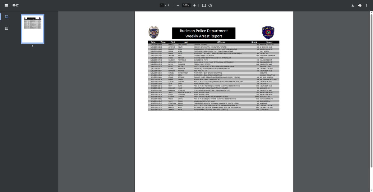 Preview of burlesontx.com