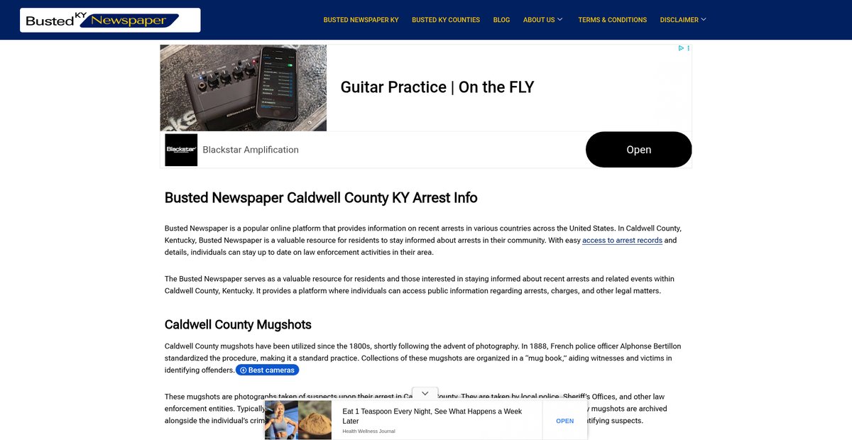 Preview of bustednewspaper-ky.com