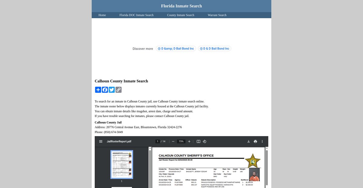 Preview of inmatesearchflorida.org