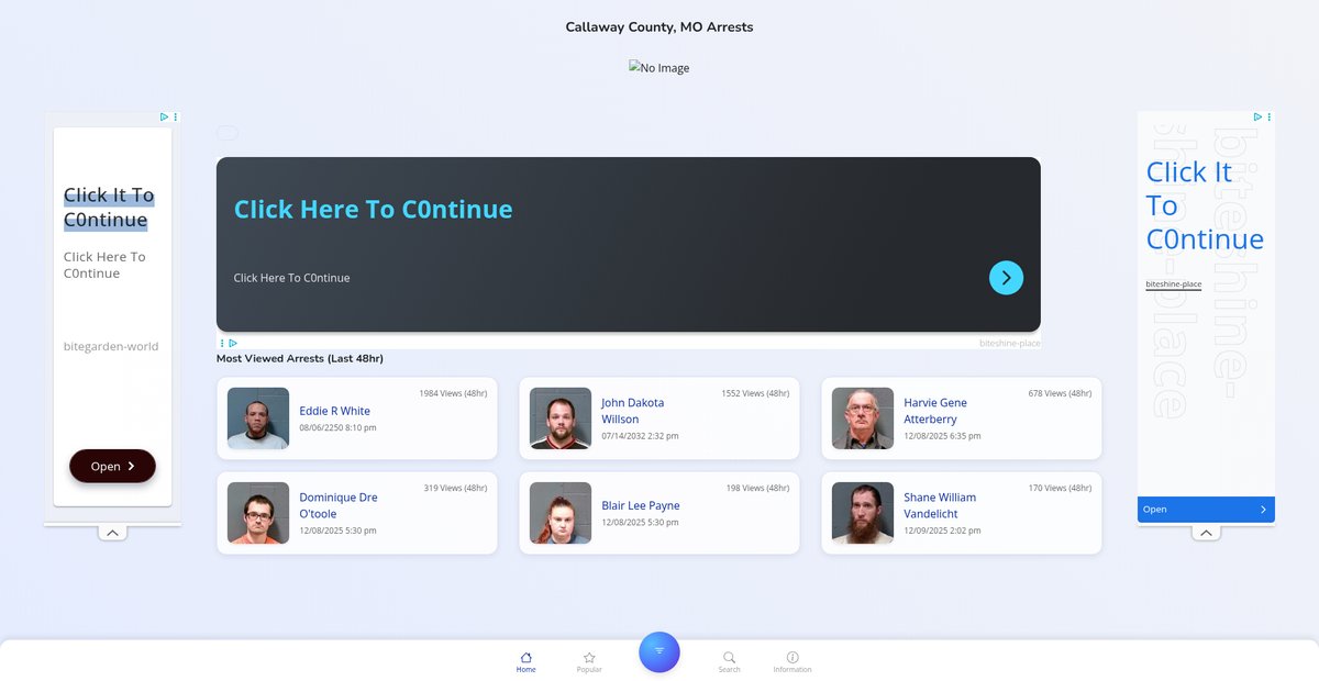 Preview of callawaycountymo.publicjailrecords.com