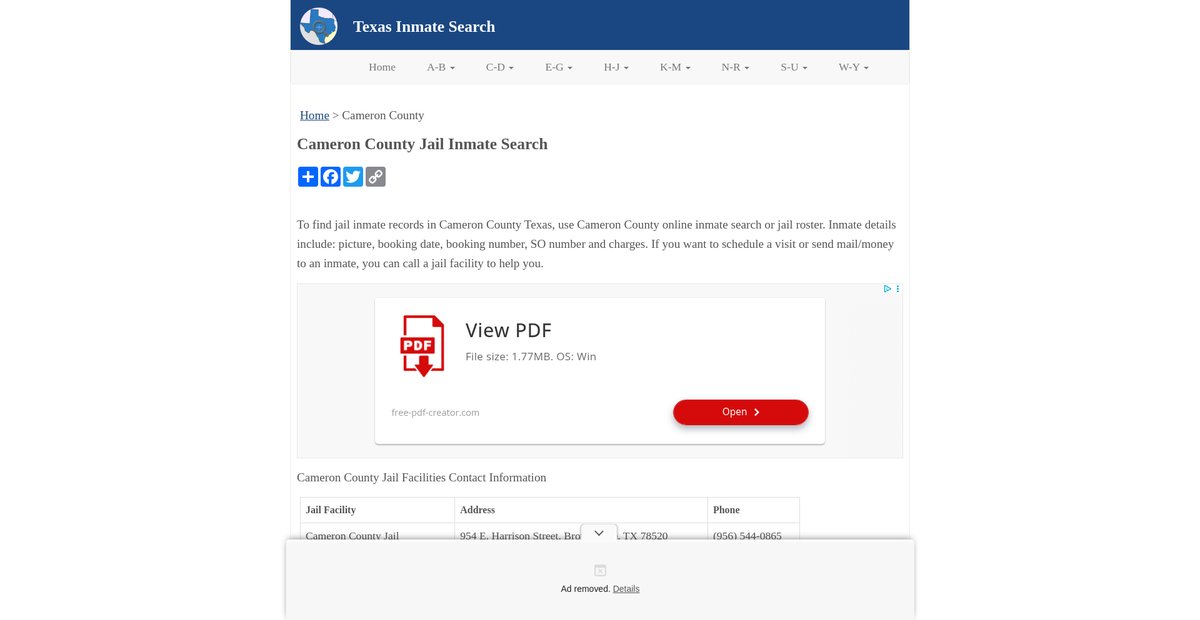 Preview of inmatesearchtx.org