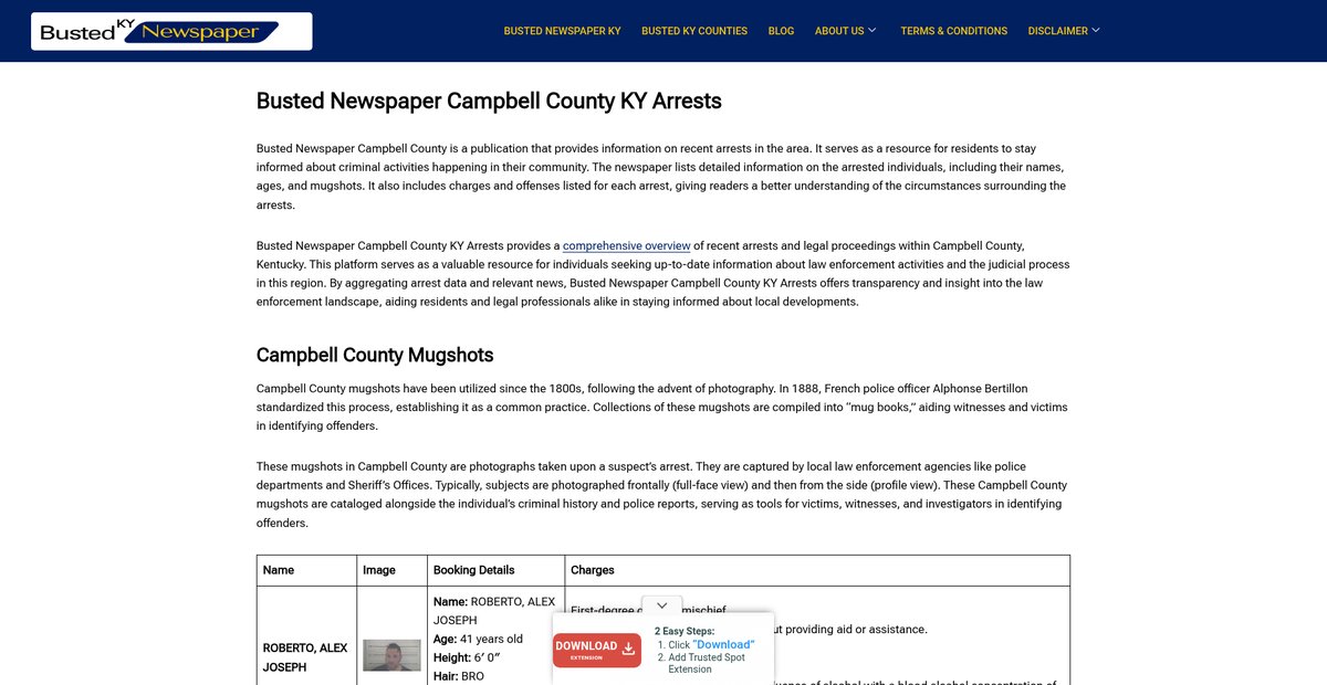 Preview of bustednewspaper-ky.com