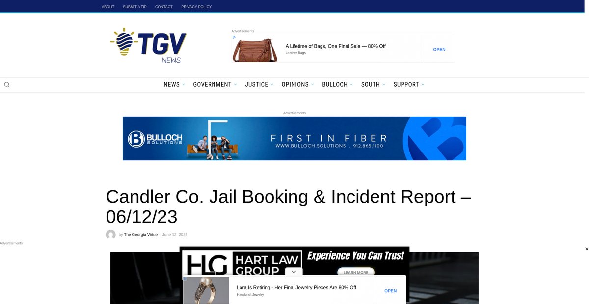 Preview of thegeorgiavirtue.com