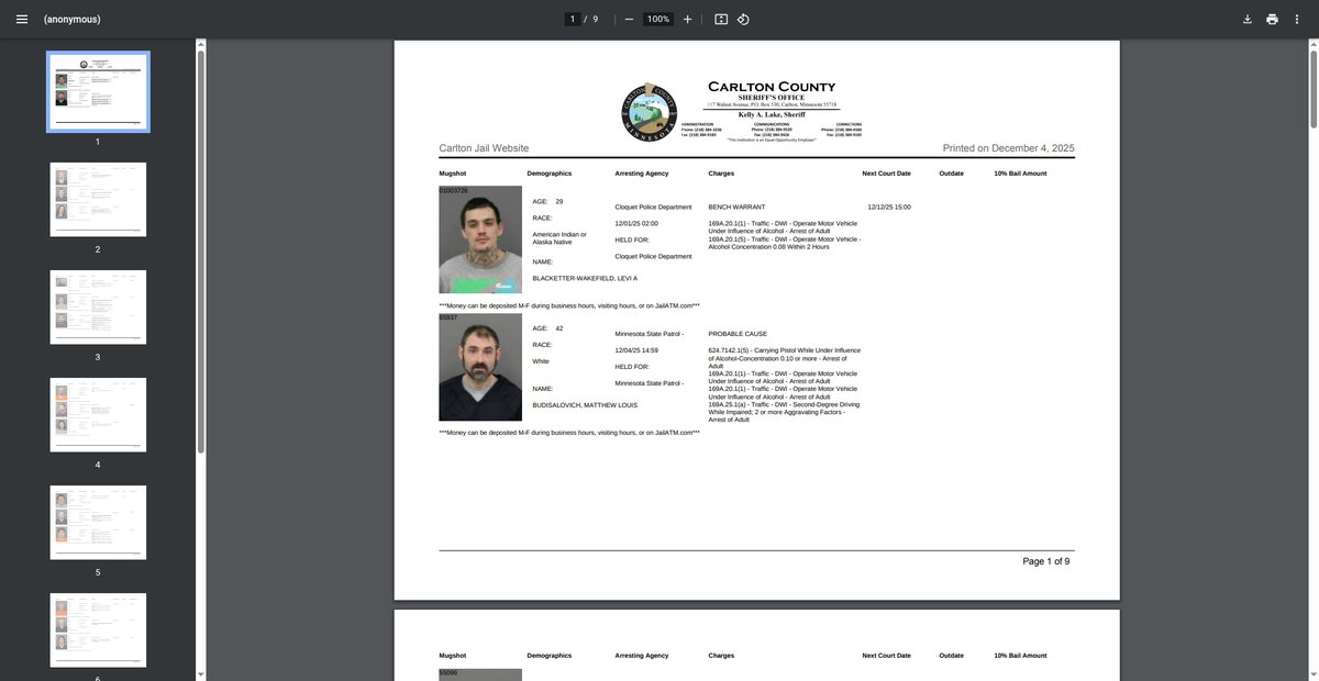 Preview of jailroster.co.carlton.mn.us