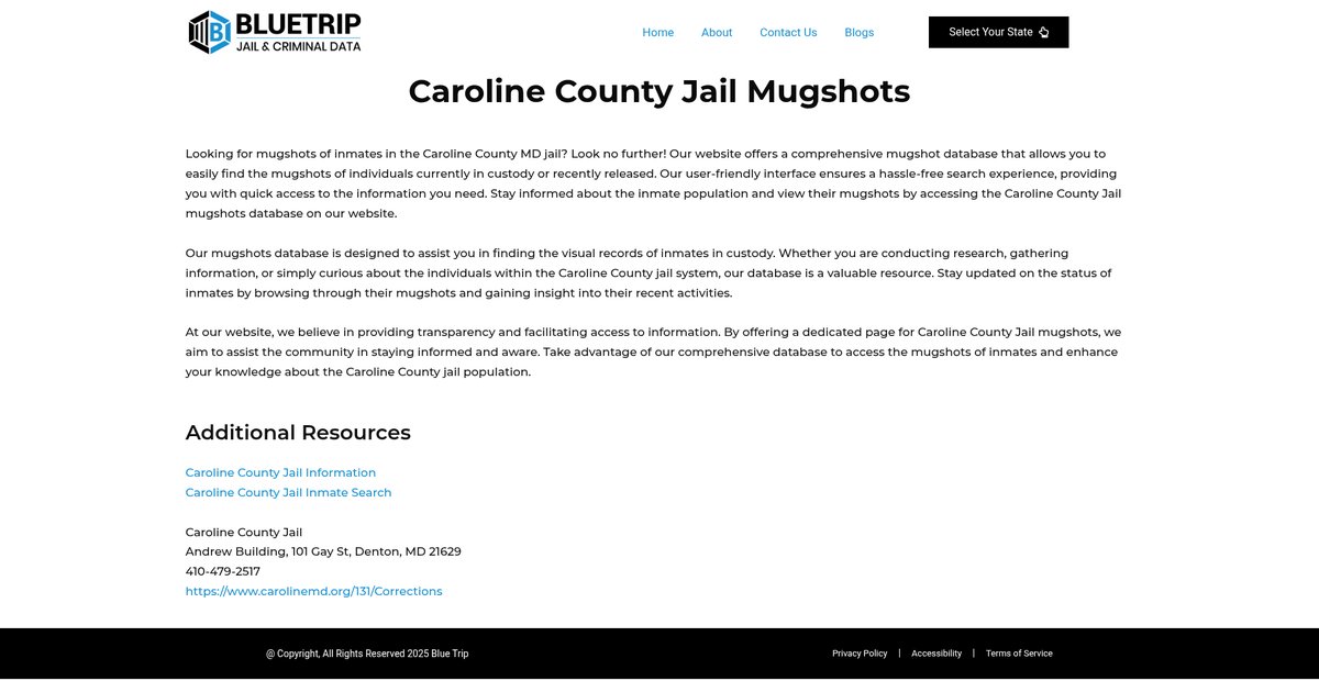 Preview of bluetrip.org