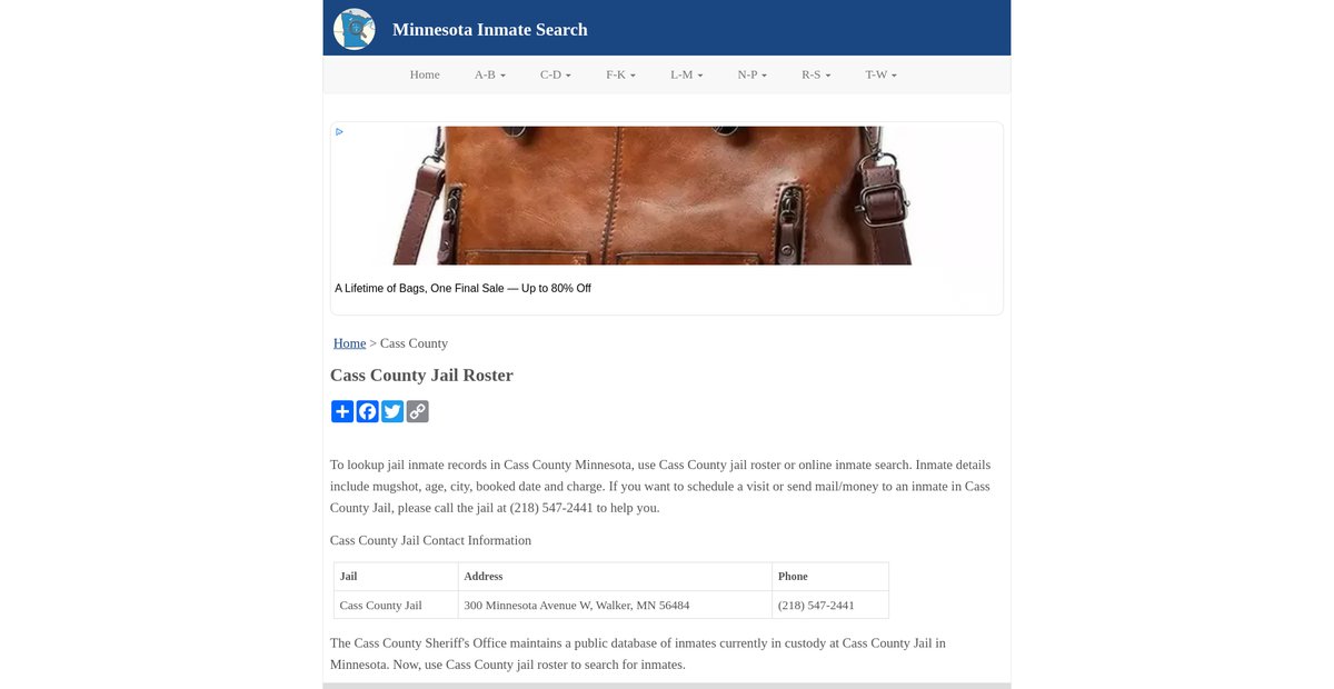 Preview of inmatesearchmn.org