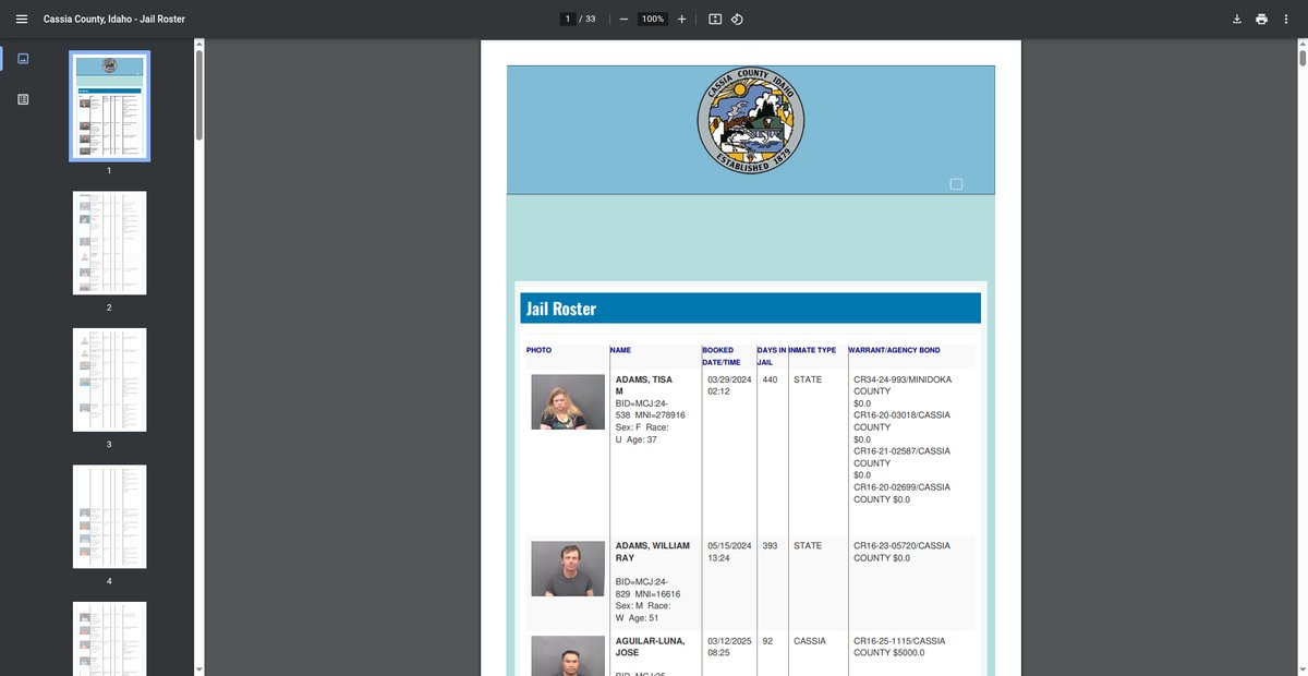 Preview of jailrosters.org