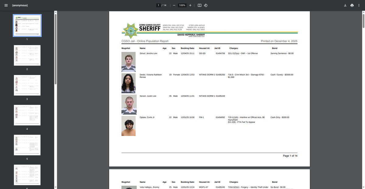 Preview of sofiles.cerrogordo.gov