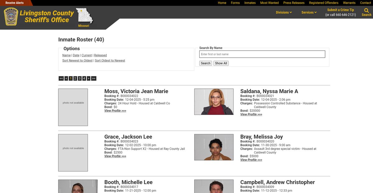 Preview of livcoso.org