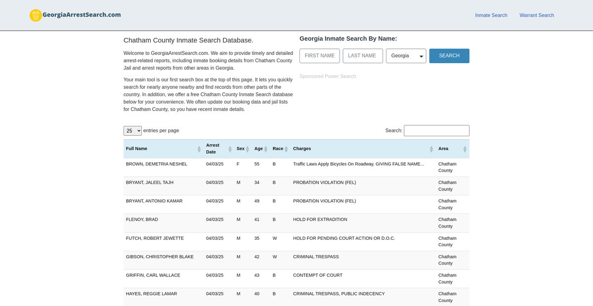 Preview of georgiaarrestsearch.com