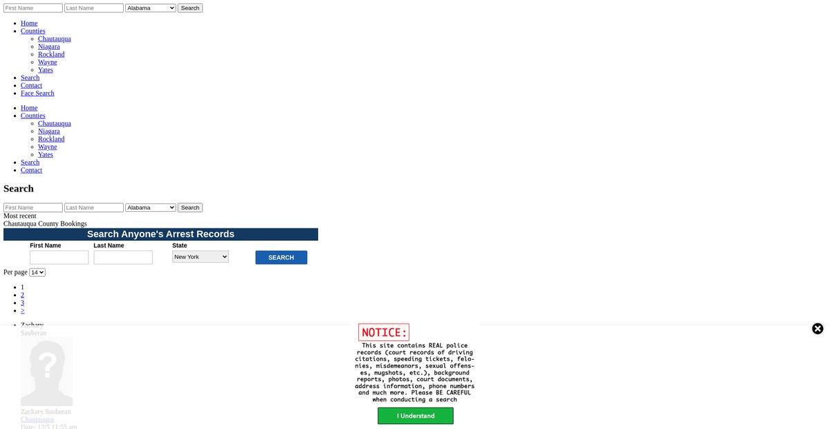 Preview of newyork.arrests.org