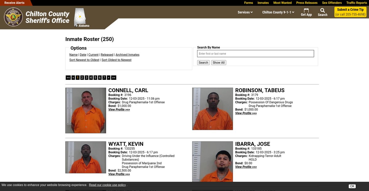 Preview of chiltoncountyso.org