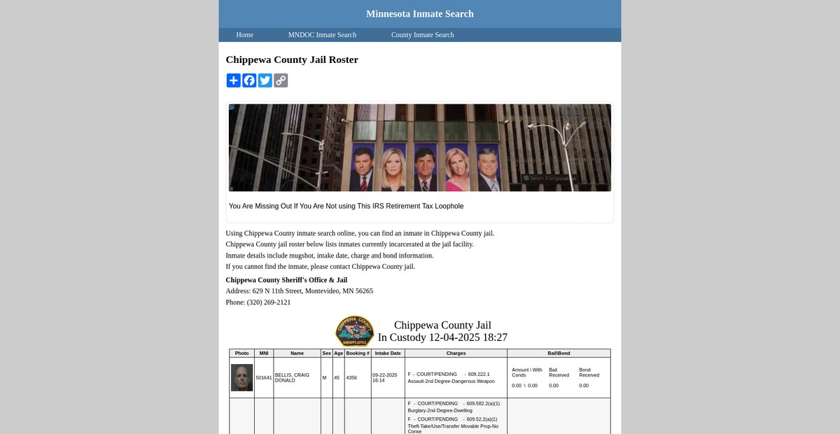 Preview of inmatesearchminnesota.org