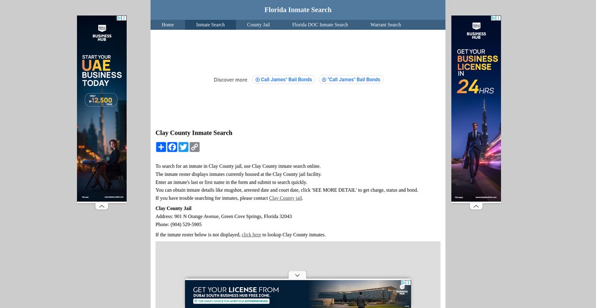 Preview of inmatesearchflorida.org