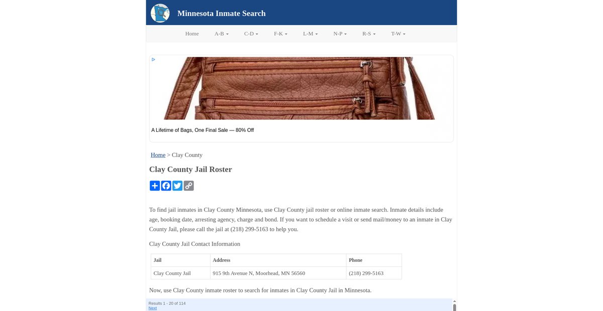 Preview of inmatesearchmn.org