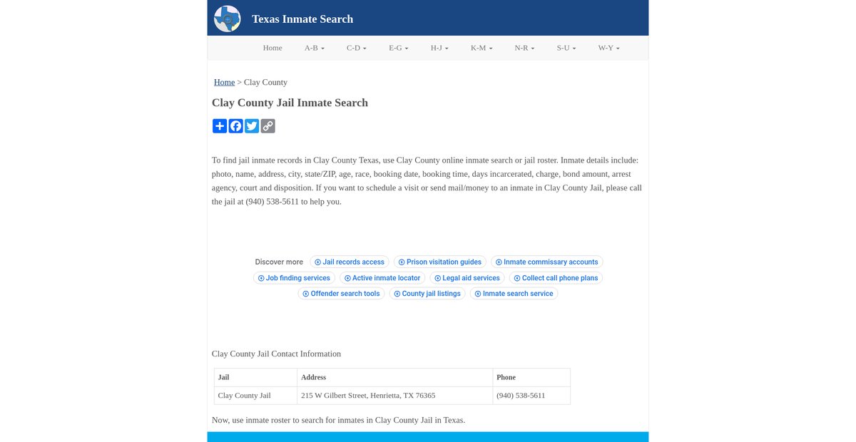 Preview of inmatesearchtx.org