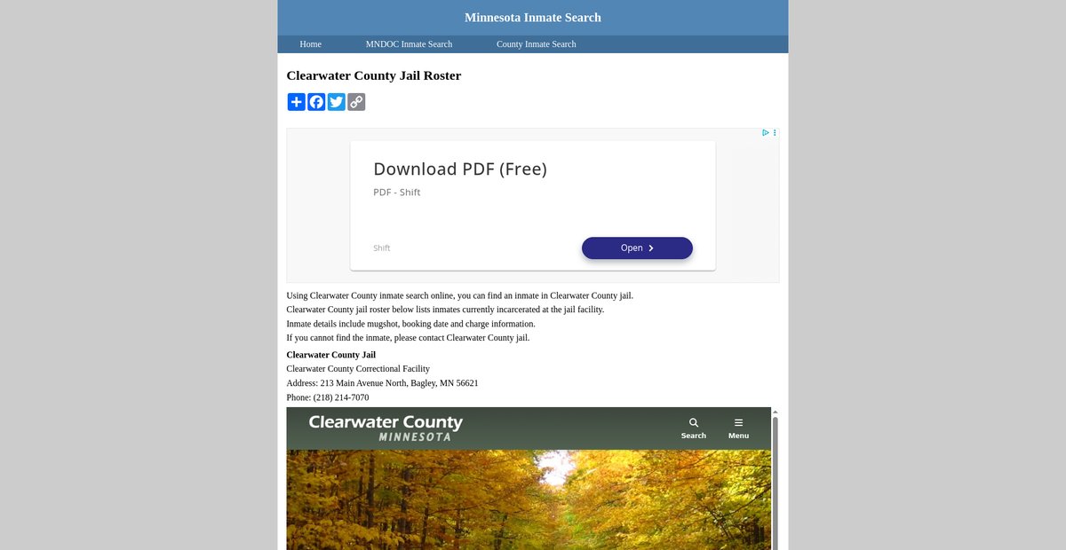 Preview of inmatesearchminnesota.org