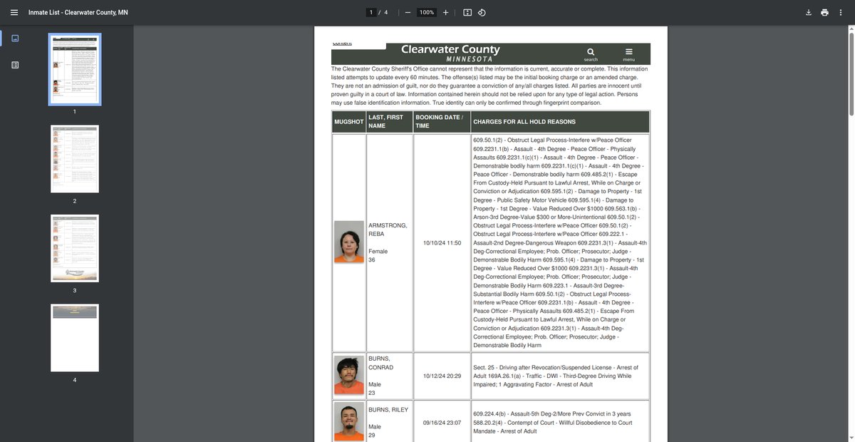 Preview of jailrosters.org