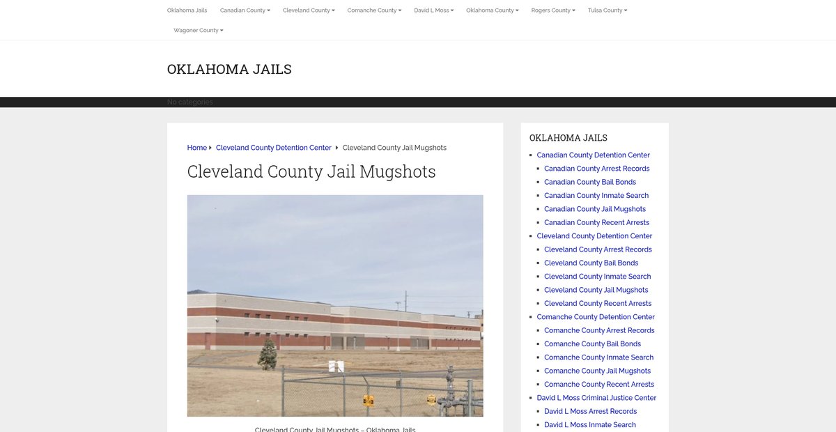 Preview of oklahomajails.com