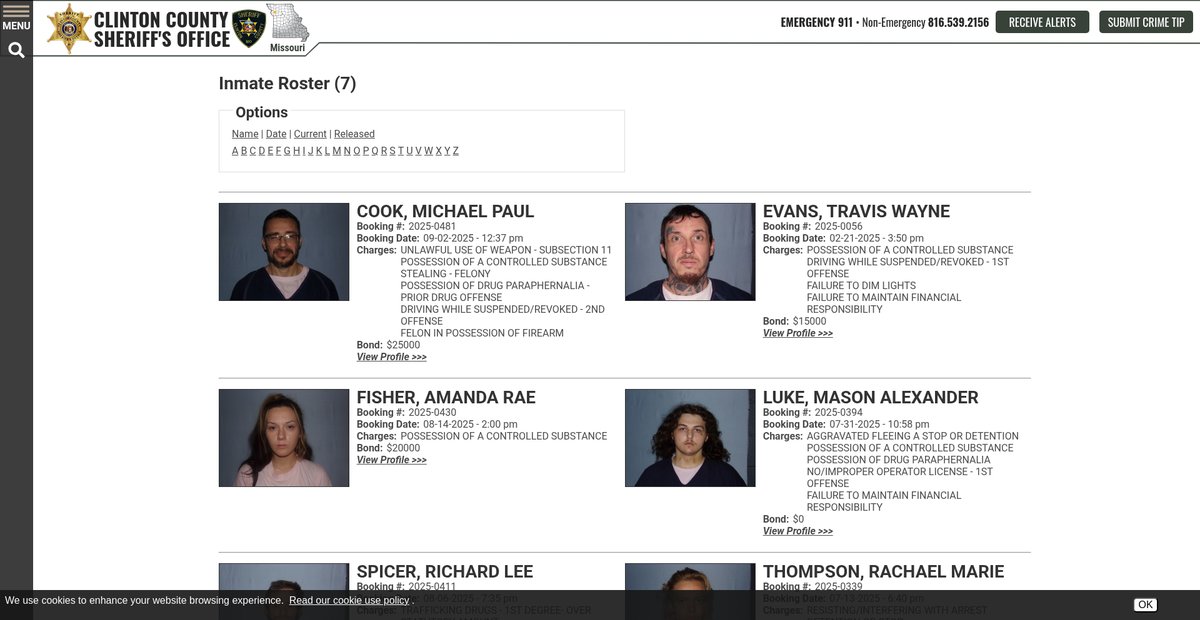 Preview of clintoncosheriff.org