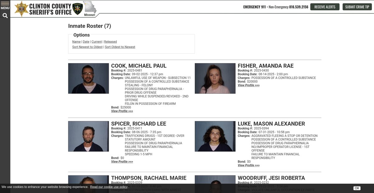 Preview of clintoncosheriff.org