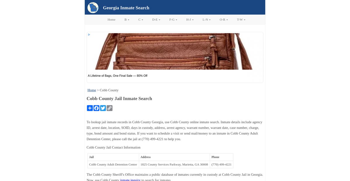 Preview of inmatesearchga.org