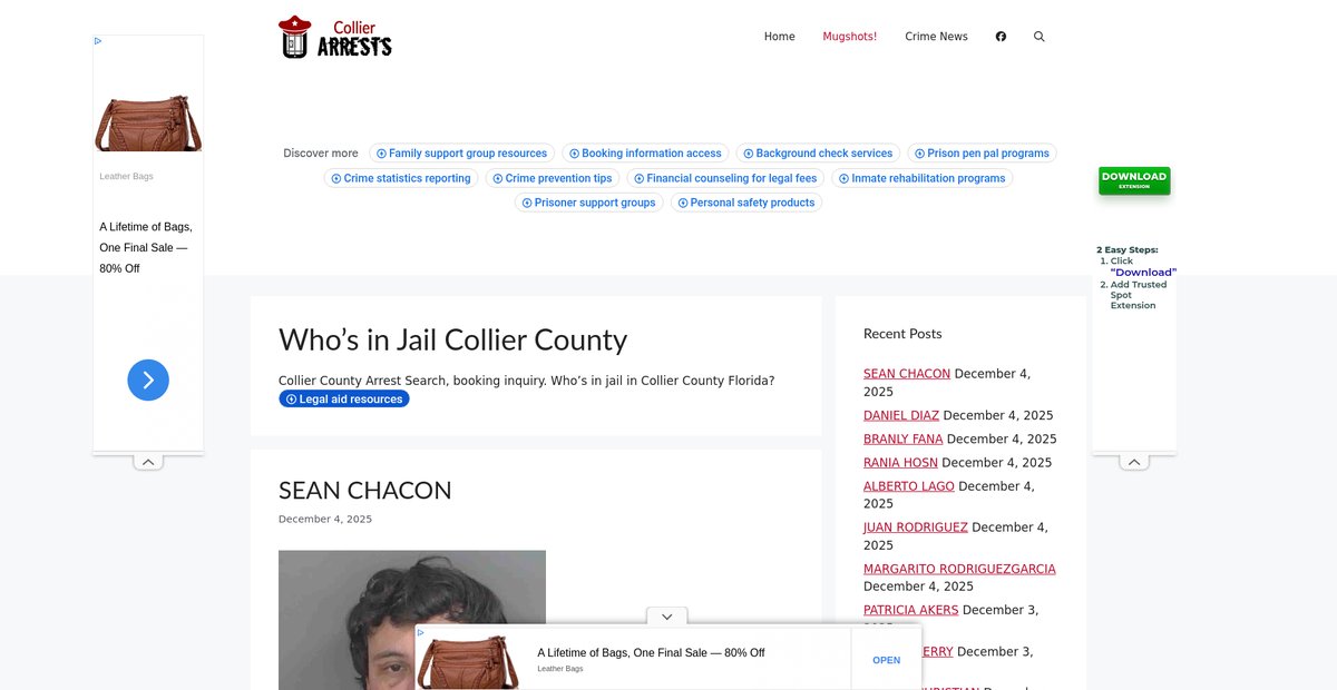 Preview of collierarrests.com
