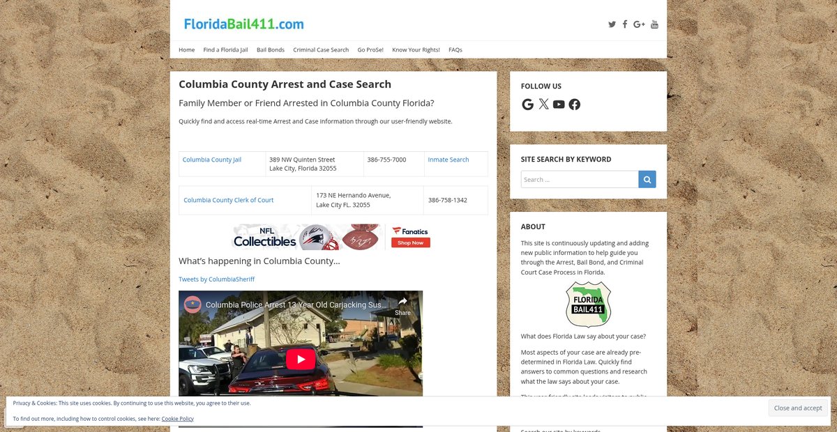 Preview of floridabail411.com