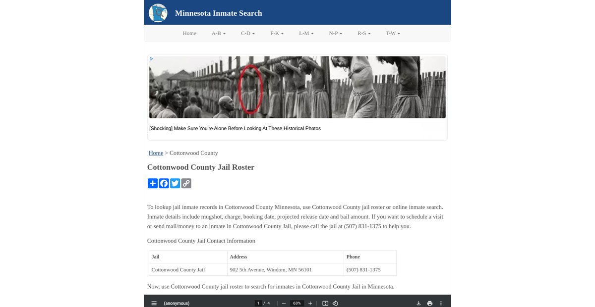 Preview of inmatesearchmn.org