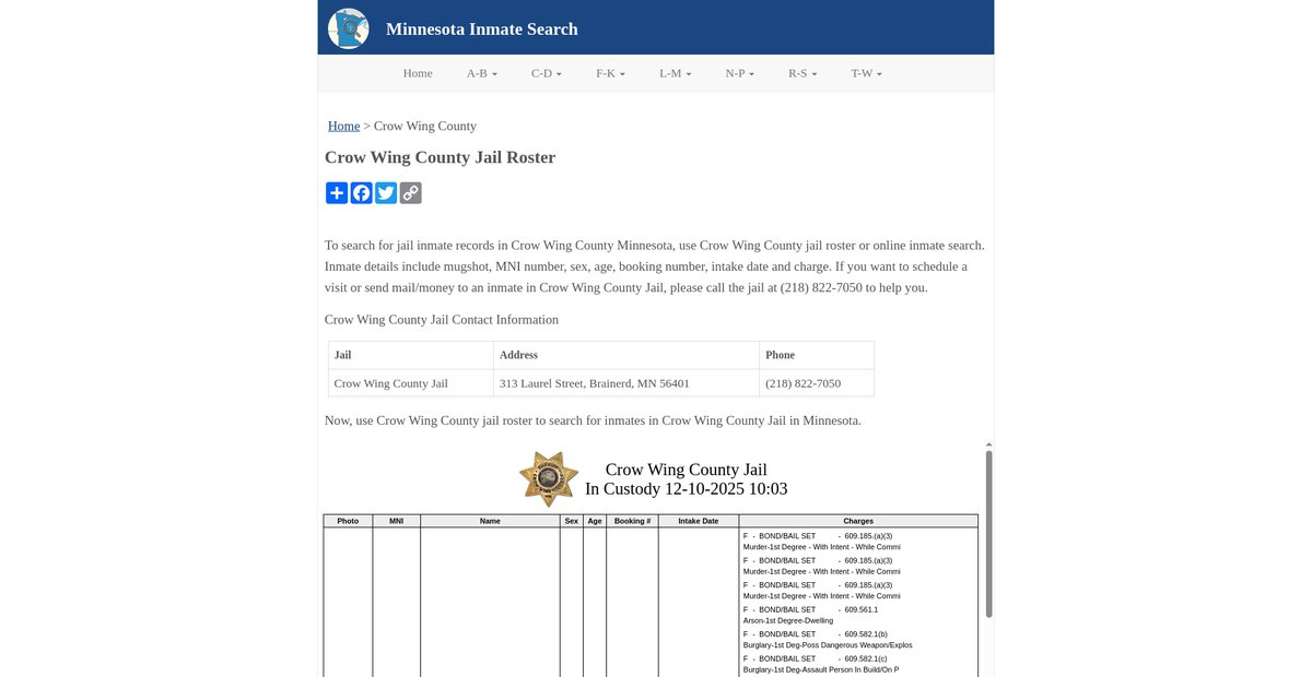 Preview of inmatesearchmn.org