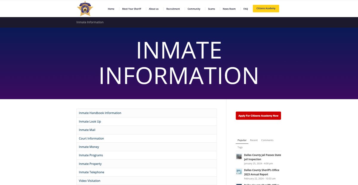 Preview of dallascounty.org